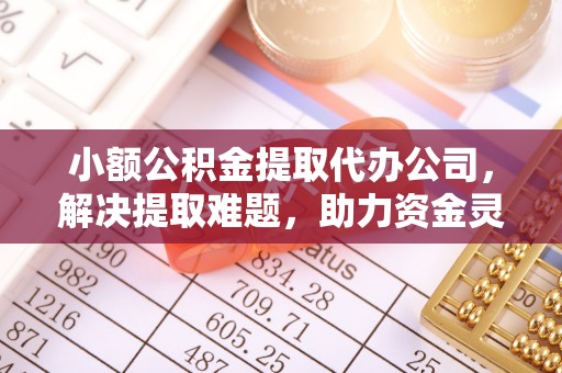 拉萨小额公积金提取代办公司，解决提取难题，助力资金灵活使用