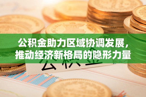 拉萨公积金助力区域协调发展，推动经济新格局的隐形力量