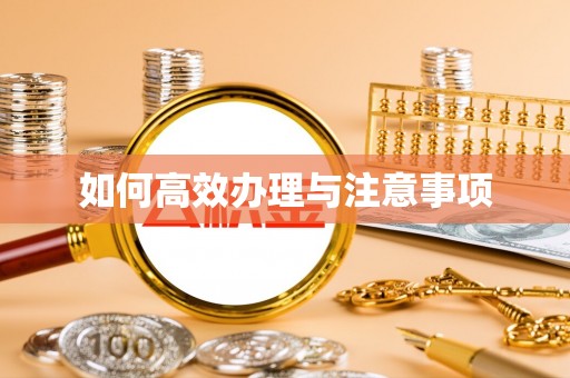 拉萨如何高效办理与注意事项