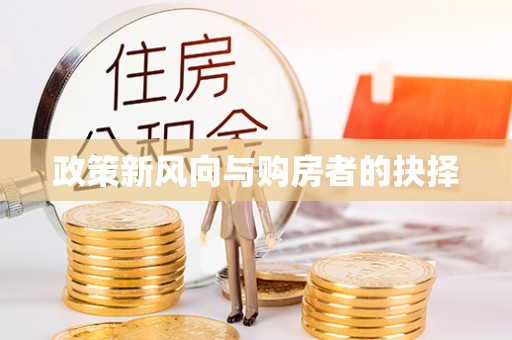 拉萨政策新风向与购房者的抉择