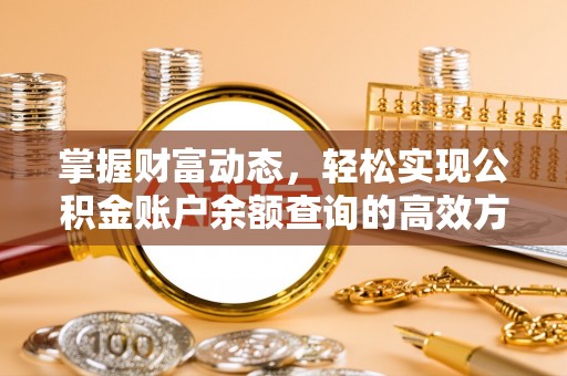 拉萨掌握财富动态，轻松实现公积金账户余额查询的高效方法