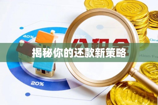 拉萨揭秘你的还款新策略