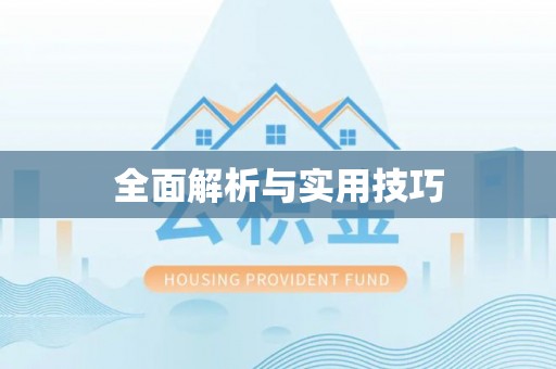 拉萨全面解析与实用技巧