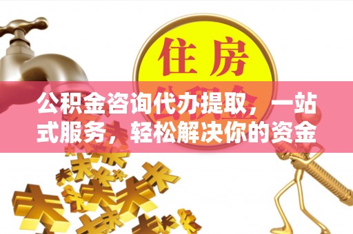 拉萨公积金咨询代办提取，一站式服务，轻松解决你的资金难题