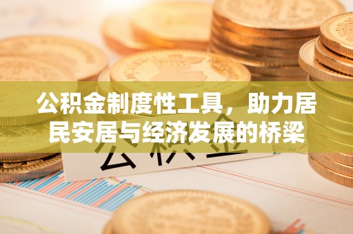 拉萨公积金制度性工具，助力居民安居与经济发展的桥梁