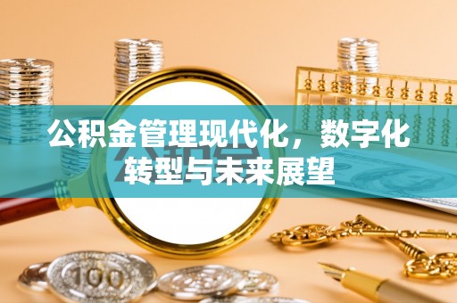 拉萨公积金管理现代化，数字化转型与未来展望