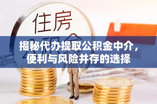 拉萨揭秘代办提取公积金中介，便利与风险并存的选择