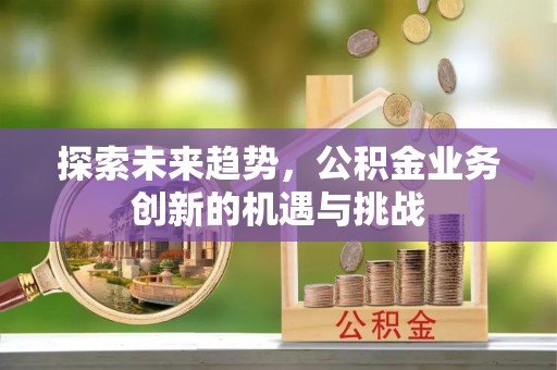 拉萨探索未来趋势，公积金业务创新的机遇与挑战