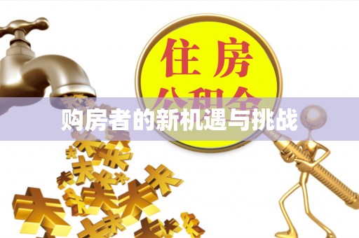 拉萨购房者的新机遇与挑战