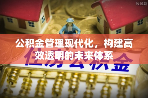 拉萨公积金管理现代化，构建高效透明的未来体系