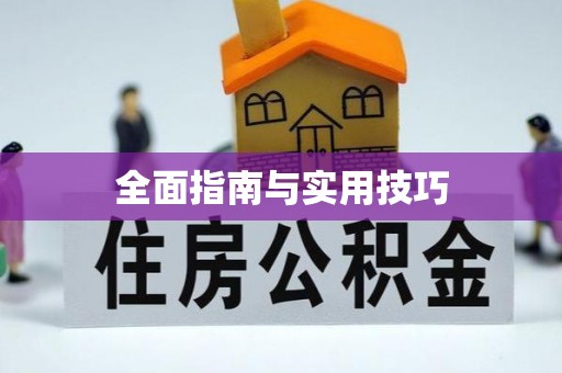 拉萨全面指南与实用技巧