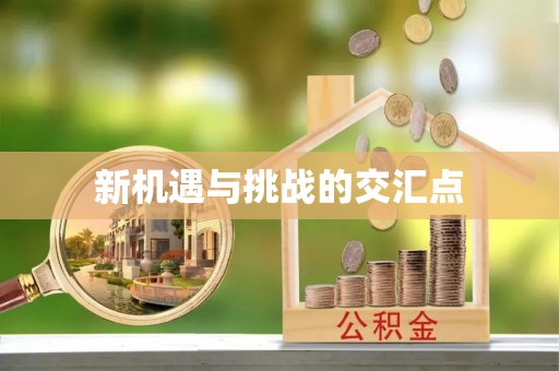 拉萨新机遇与挑战的交汇点