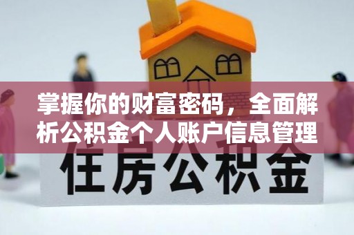拉萨掌握你的财富密码，全面解析公积金个人账户信息管理与优化