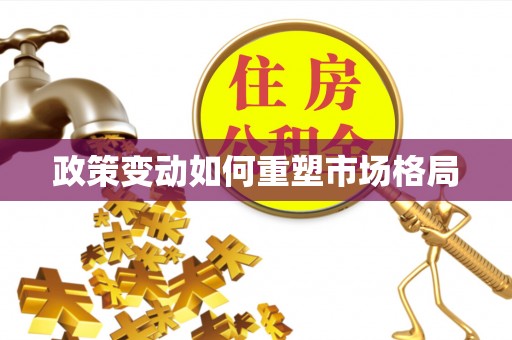 拉萨政策变动如何重塑市场格局