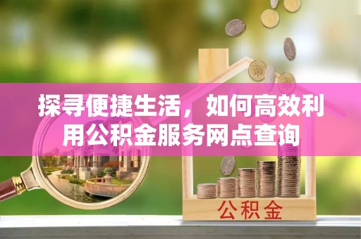 拉萨探寻便捷生活，如何高效利用公积金服务网点查询