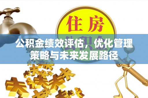 拉萨公积金绩效评估，优化管理策略与未来发展路径