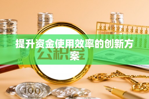 拉萨提升资金使用效率的创新方案