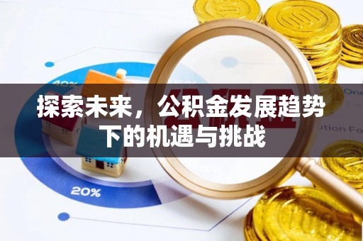 拉萨探索未来，公积金发展趋势下的机遇与挑战