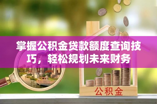 拉萨掌握公积金贷款额度查询技巧，轻松规划未来财务