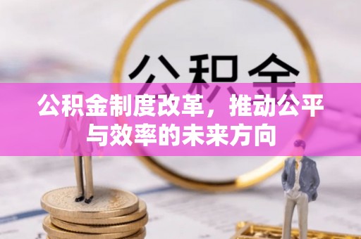 拉萨公积金制度改革，推动公平与效率的未来方向