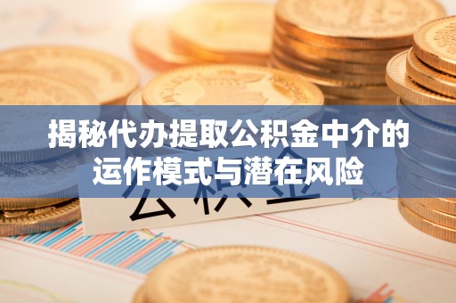 拉萨揭秘代办提取公积金中介的运作模式与潜在风险