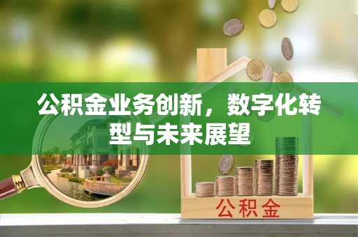 拉萨公积金业务创新，数字化转型与未来展望