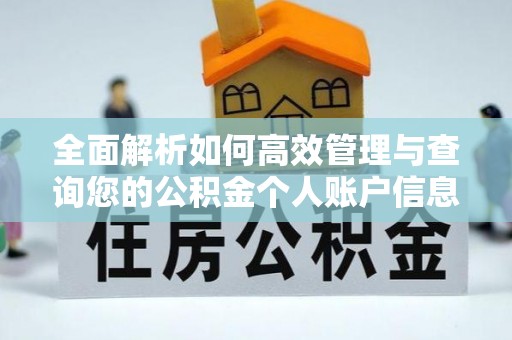 拉萨全面解析如何高效管理与查询您的公积金个人账户信息