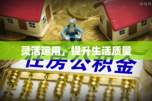 拉萨灵活运用，提升生活质量