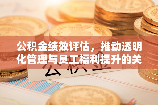 拉萨公积金绩效评估，推动透明化管理与员工福利提升的关键