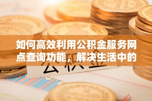 拉萨如何高效利用公积金服务网点查询功能，解决生活中的资金难题