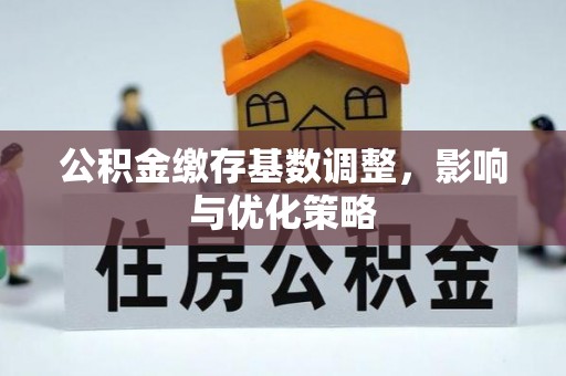 拉萨公积金缴存基数调整，影响与优化策略