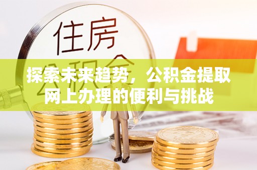 拉萨探索未来趋势，公积金提取网上办理的便利与挑战
