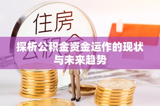 拉萨探析公积金资金运作的现状与未来趋势