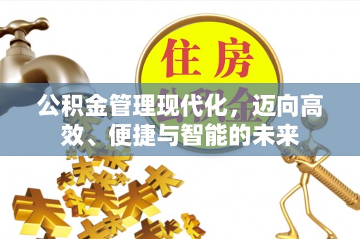拉萨公积金管理现代化，迈向高效、便捷与智能的未来