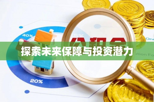 拉萨探索未来保障与投资潜力