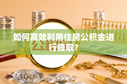 拉萨如何高效利用住房公积金进行提取？