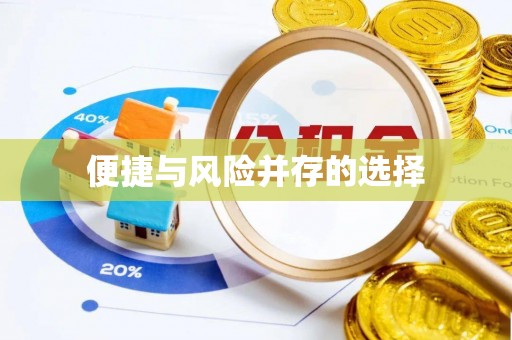拉萨便捷与风险并存的选择