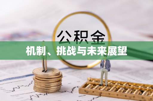拉萨机制、挑战与未来展望
