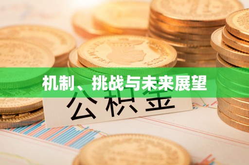 拉萨机制、挑战与未来展望