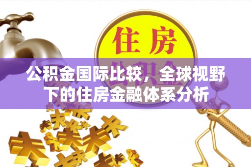 拉萨公积金国际比较，全球视野下的住房金融体系分析