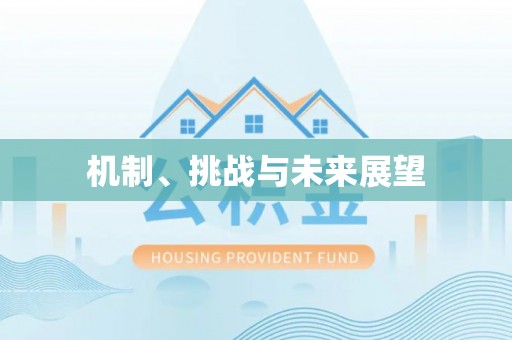 拉萨机制、挑战与未来展望